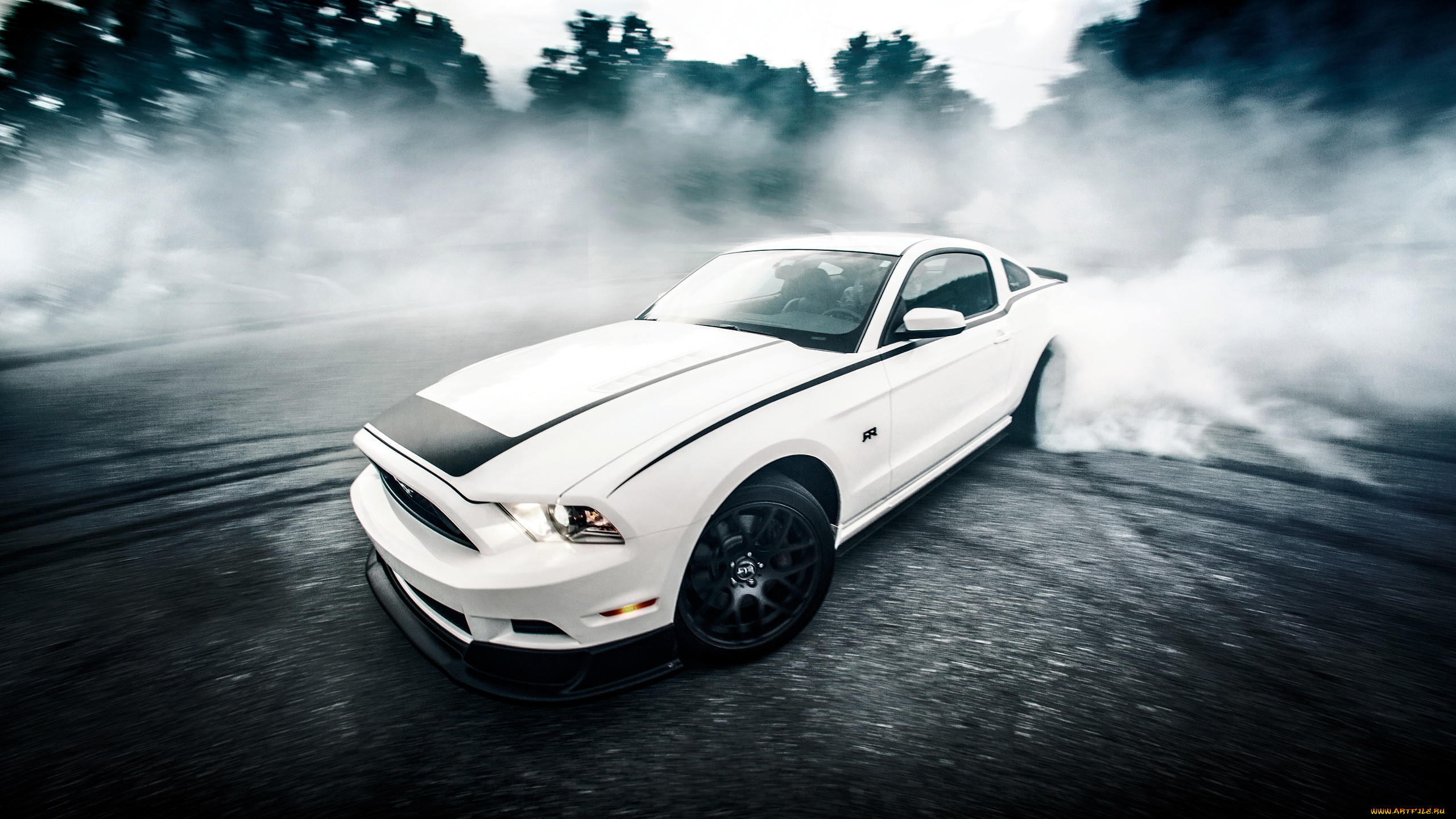 mustang, , , ford, motor, company